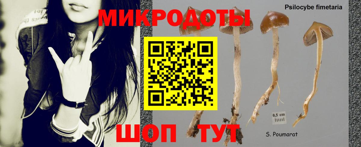 Галлюциногенные грибы Psilocybine cubensis Сафоново